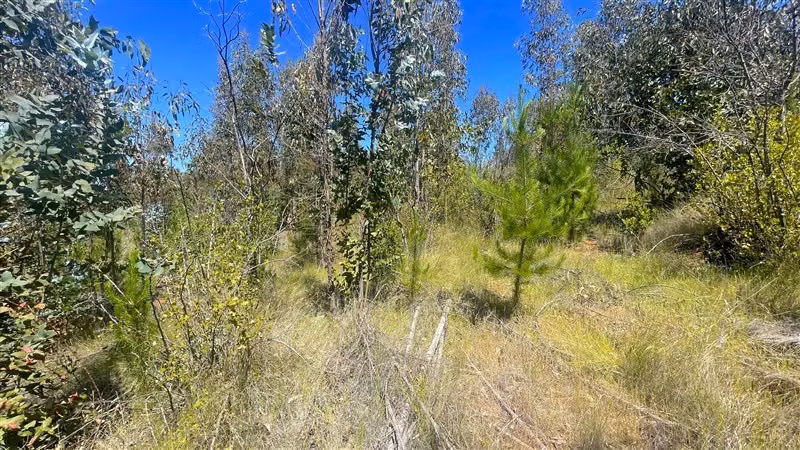 PARCELAS EN PAREDONES A ORILLA DE RUTA ASFALTADA A MIN PLAYA