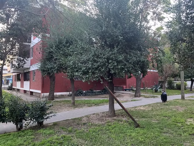 PARQUE KOKE AVDA BAQUEDAANO