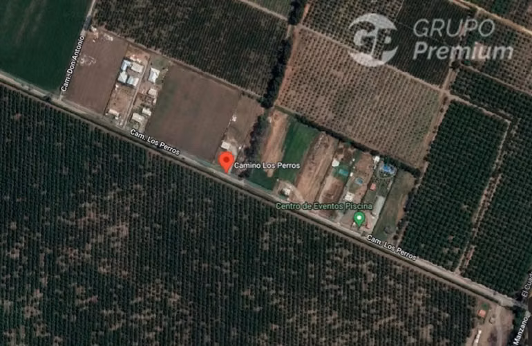 Terreno Agrícola de alta producción en venta en Talagante