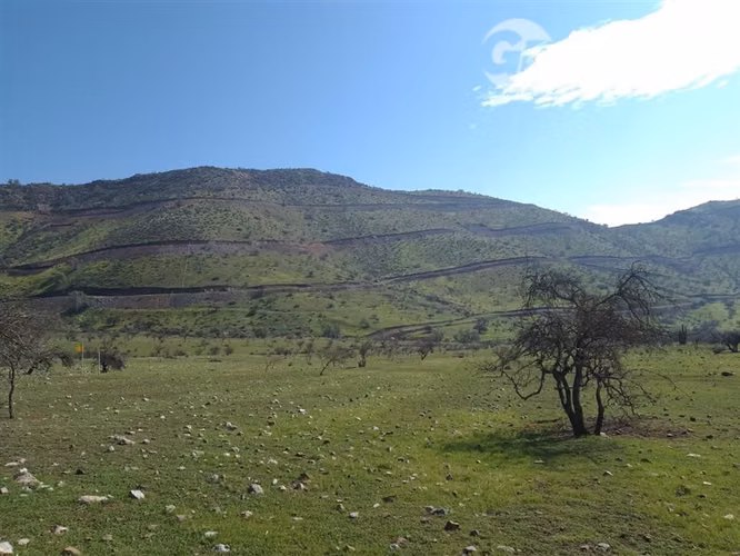 Parcela Agrícola en inmejorable sector en venta en Los Andes