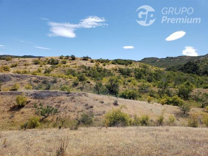 Propiedad Agrícola con gran potencial en venta en Cochrane