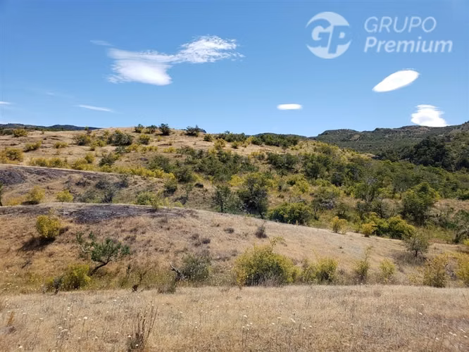 Propiedad Agrícola con gran potencial en venta en Cochrane