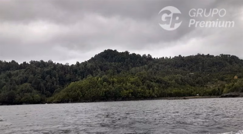 Parcela con gran bosque nativo virgen en venta en Cisnes
