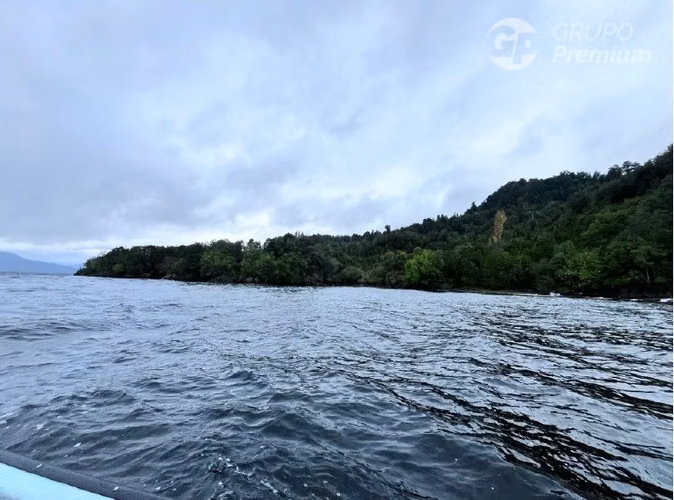 Parcela con gran bosque nativo virgen en venta en Cisnes