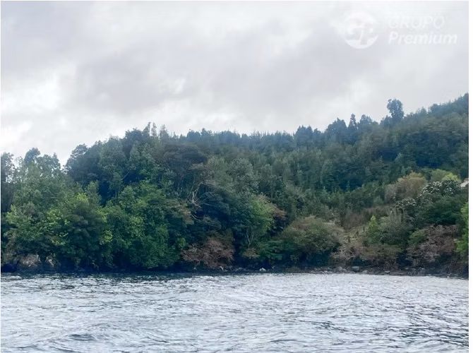 Parcela con gran bosque nativo virgen en venta en Cisnes