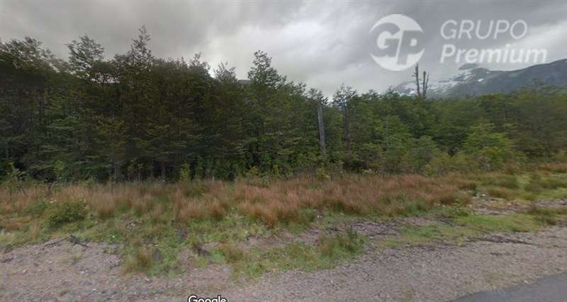 Fundo Agrícola y Ganadero de 475.Ha en venta en Lago Verde