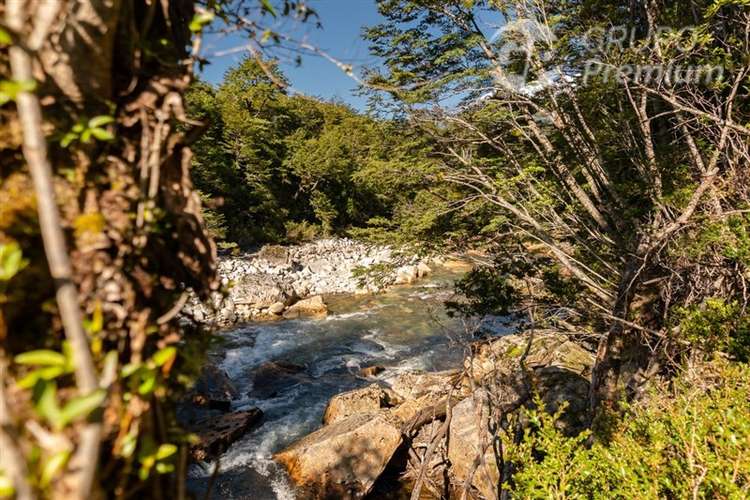 Fundo Agrícola y Ganadero de 475.Ha en venta en Lago Verde