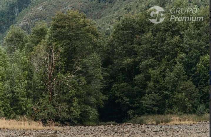 Fundo Agrícola y Ganadero de 475.Ha en venta en Lago Verde