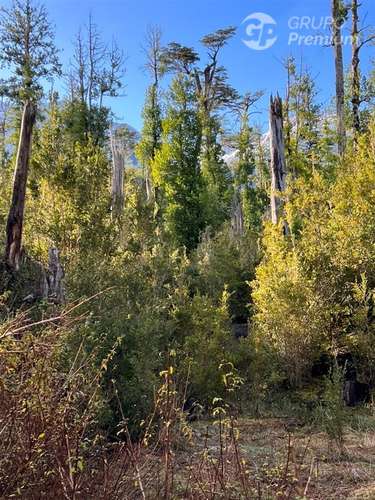 Fundo Agrícola y Ganadero de 475.Ha en venta en Lago Verde