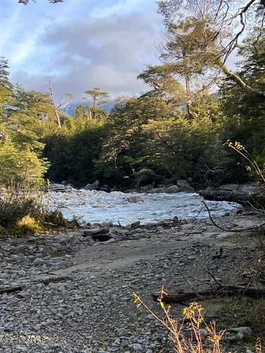 Fundo Agrícola y Ganadero de 475.Ha en venta en Lago Verde