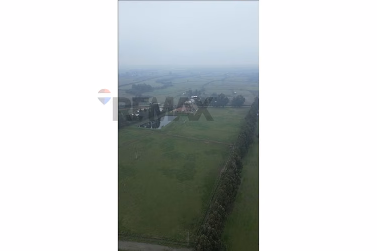 ¡invierte en terreno de ensueño en mariposas!