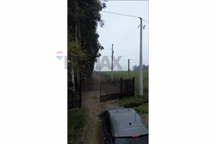 ¡invierte en terreno de ensueño en mariposas!