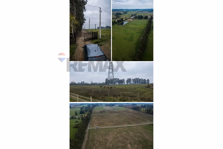 ¡invierte en terreno de ensueño en mariposas!