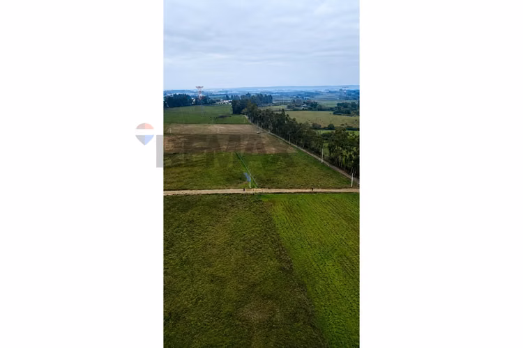 ¡invierte en terreno de ensueño en mariposas!