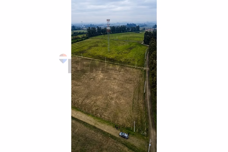 ¡invierte en terreno de ensueño en mariposas!