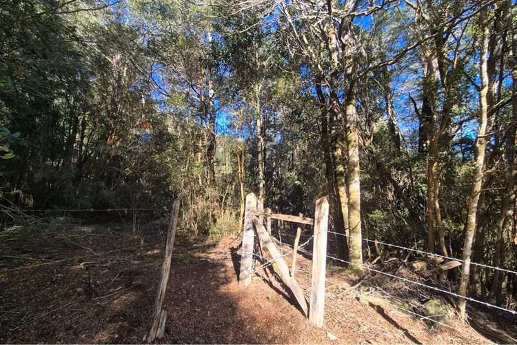 Casa 132 m2- terreno 7,06 ha-chonchi