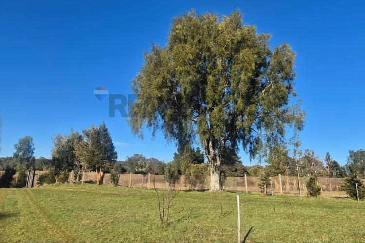Casa 132 m2- terreno 7,06 ha-chonchi