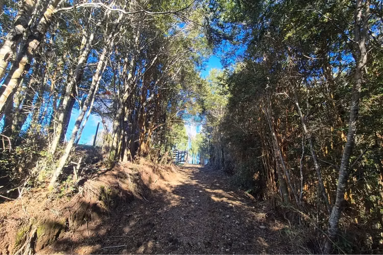 Casa 132 m2- terreno 7,06 ha-chonchi
