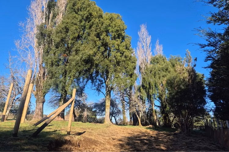 Casa 132 m2- terreno 7,06 ha-chonchi