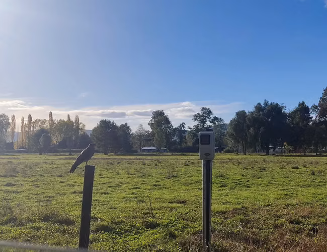 Parcelas de 5.000 m² con Crédito Directo – Ruta CH-203 camino a Panguipulli