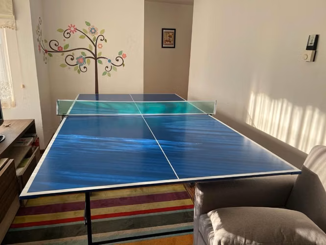 Mesa Ping Pong