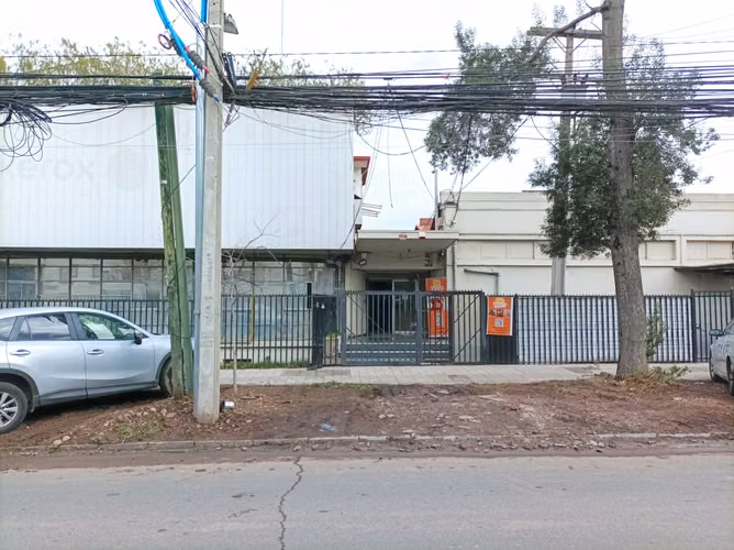 Plantas Libres. Santa Elena. Maule. Metro Ñuble (177781)