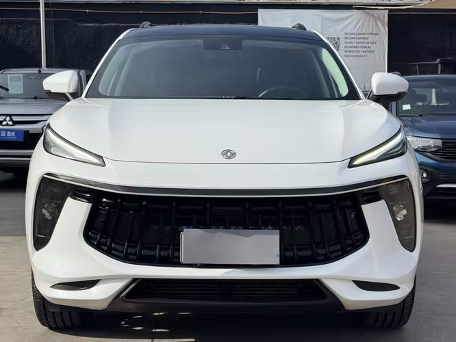 DONGFENG T5