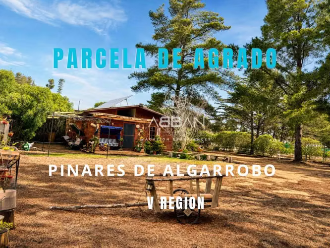 Maravillosa Parcela en Pinares de Algarrobo (177816)