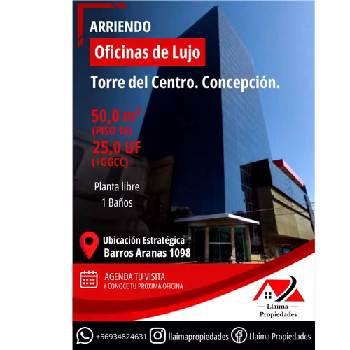 Arriendo oficina Torre del Centro. Concepción  (177825)