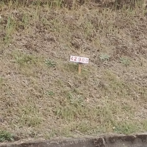Parcela en venta en verde Galvarino-Cholchol Empalme/luz