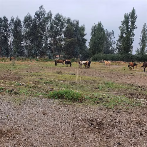 Terreno Construccion  en Venta en San Fernando