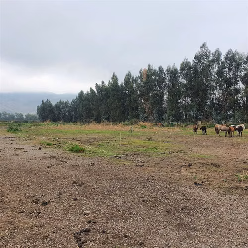 Terreno Construccion  en Venta en San Fernando