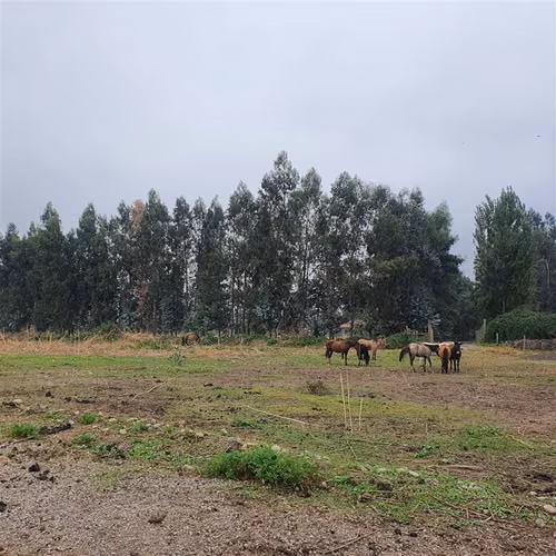 Terreno Construccion  en Venta en San Fernando