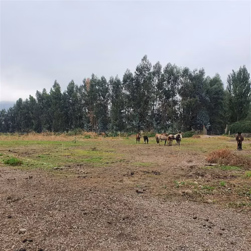 Terreno Construccion  en Venta en San Fernando