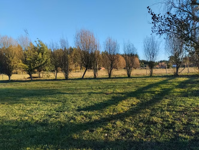 2,5 ha con casa patronal en Paso Rari. Colbun