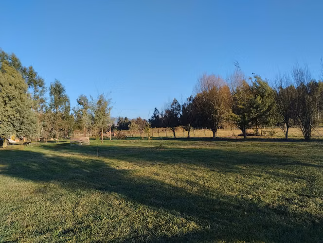 2,5 ha con casa patronal en Paso Rari. Colbun