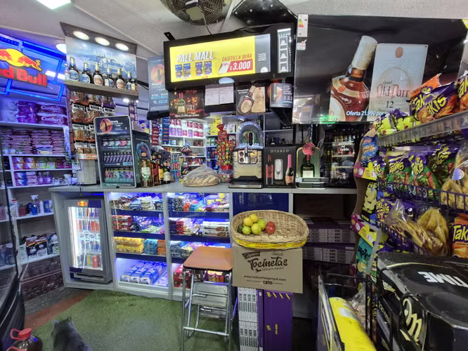 Oportunidad Propiedad Comercial 4D/3B/3E,Incluye Botillería y Patente ,avenida Pablo Urzúa . - Imagen 11