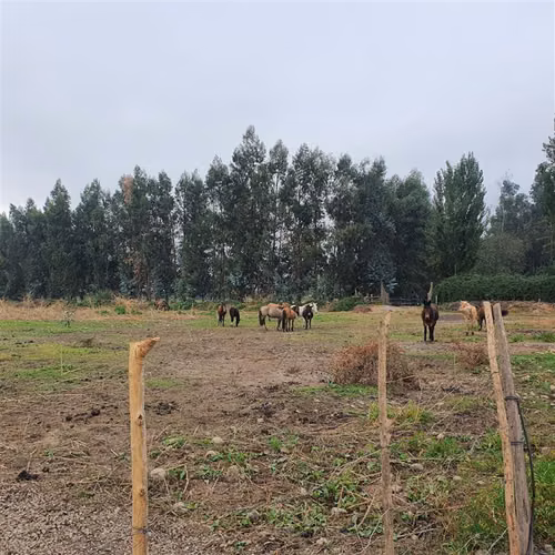TERRENO CONSTRUCCION roma comuna de san Fernando - Imagen 9