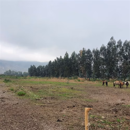 TERRENO CONSTRUCCION roma comuna de san Fernando - Imagen 8