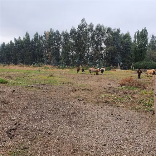 TERRENO CONSTRUCCION roma comuna de san Fernando - Imagen 18