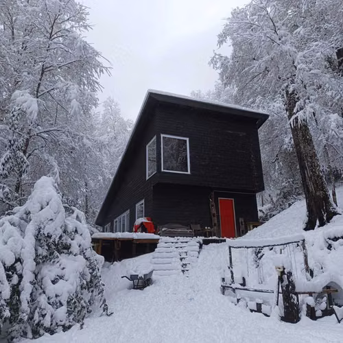Parcela de 5 mil m2, cercada, con bosque nat (177842)