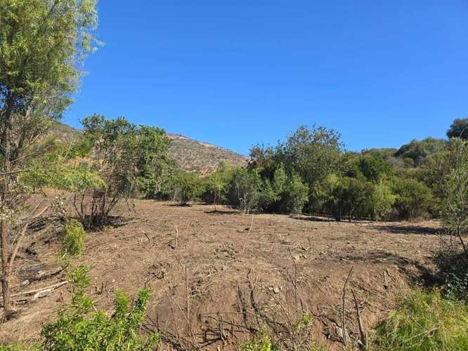 Campo Quillota cambio x depto Las Condes