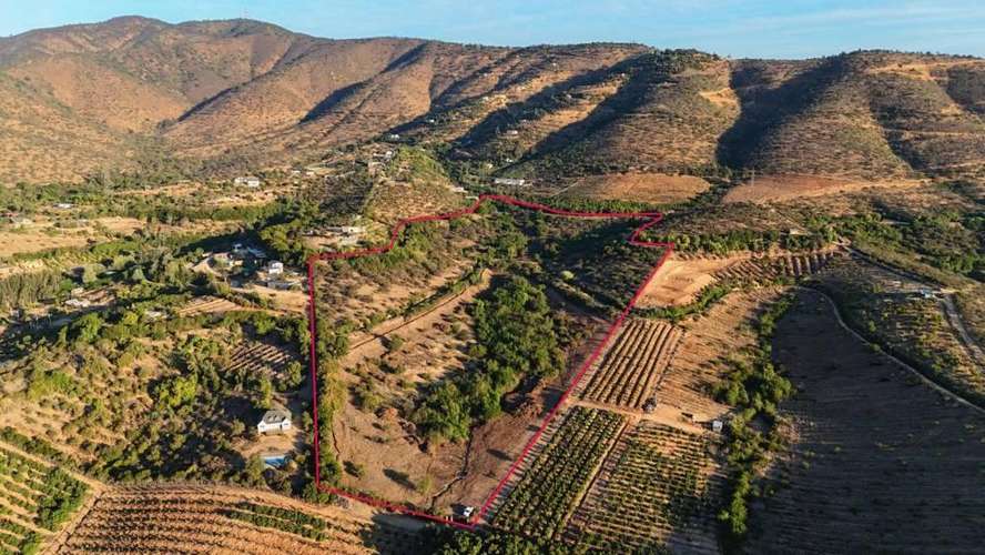Campo Quillota cambio x depto Las Condes