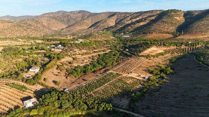 Campo Quillota cambio x depto Las Condes