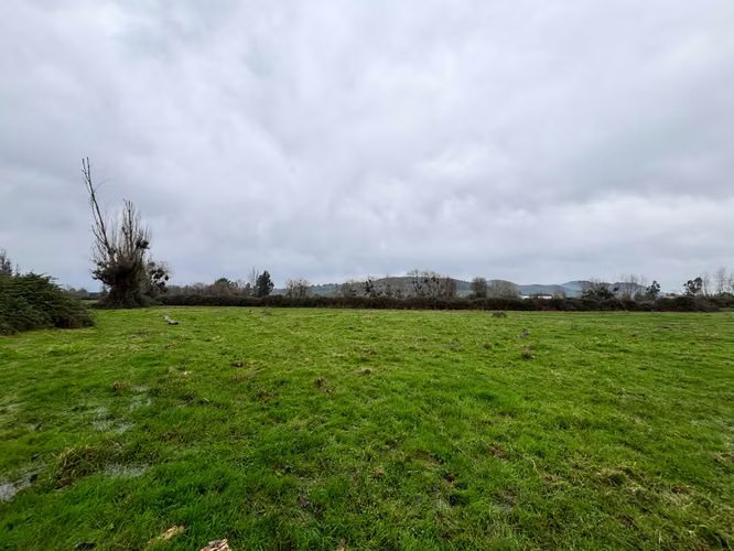 Campo 11,7 ha con Derechos Agua. V. Alegre (177875)