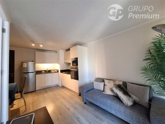 Departamento en venta de 1 dorm. en suite en Santiago