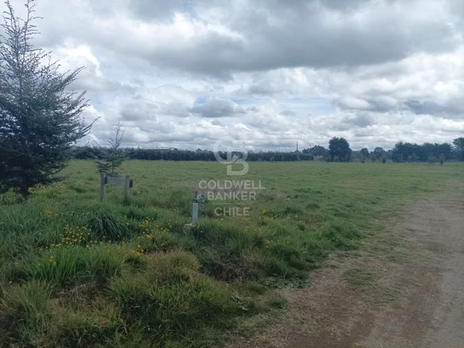 Praderas del Maullín, Santuario de la Naturaleza