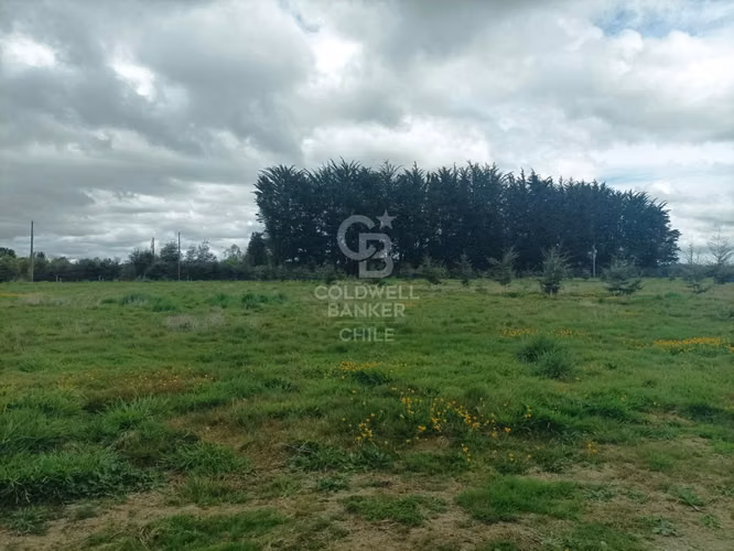 Praderas del Maullín, Santuario de la Naturaleza