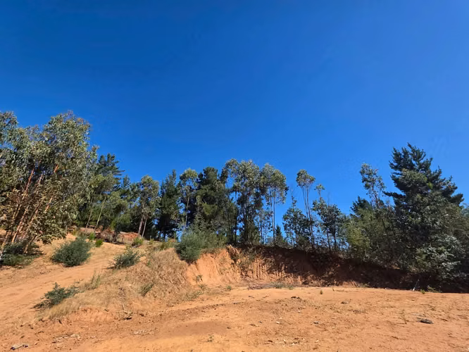 Parcelas, 5.000m2, a 25 min de Concepción, Copiulemu, Florida