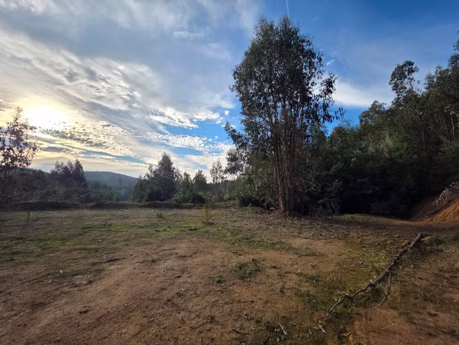 Parcelas, 5.000m2, a 25 min de Concepción, Copiulemu, Florida